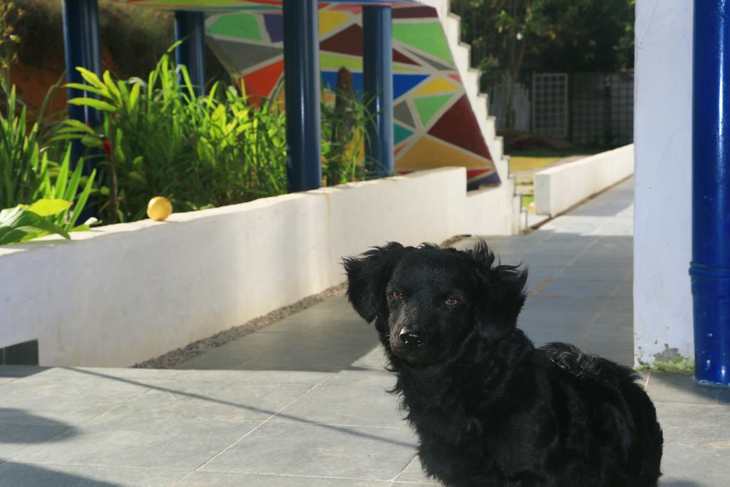 Cristama Residence Inn Ubatuba Esterno foto